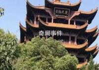 客户端万元征名被质疑 获奖者回应