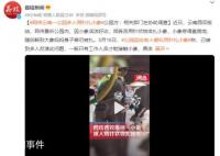 网传云南一公园多人用针扎小象 已接到多人反馈此问题