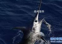 海底一万米有多恐怖 海底一万米下的生物有哪些