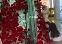 商场520花海被顾客一抢而光 商场已报警处理