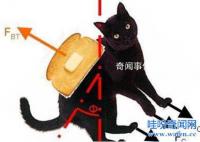 世界十大悖论及真相是什么 十大悖论有哪些