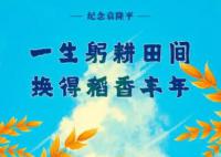 一粥一饭间怀念袁爷爷 袁隆平离世2周年