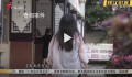 教师体罚学生被开除44名家长挽留 这究竟是怎么回事