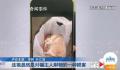 宠物猫被邻居高空扔下活活摔死 警方正在对此展开调查