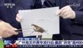 这些非法入境“异宠”隐患多 对我国的生物多样性造成潜在威胁