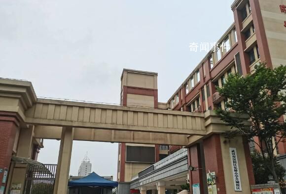 小学生在校内被老师开车撞倒身亡 事件正在调查处理中