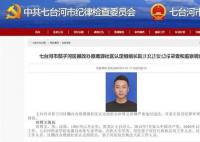90后干部接受调查 身份学历引质疑