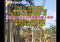失踪近48小时 海南1岁半女孩被找到