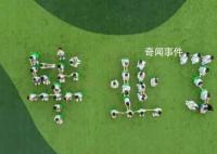 毕业季多地学校现高价毕业照现象 毕业照收费离谱