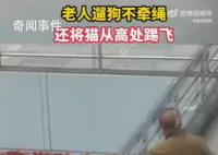 老人遛狗不牵绳还将猫踢飞 实在是太过分了