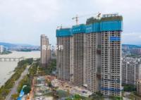 厦门楼市奇观:买房送两头猪