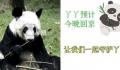 丫丫启程回京 丫丫离开上海动物园