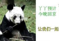 丫丫启程回京 丫丫离开上海动物园