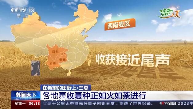 一组数字看中国丰收“速度” 各地抢收进度如何