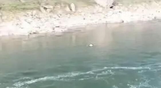 贵州两名教师溺亡 官方成立调查组