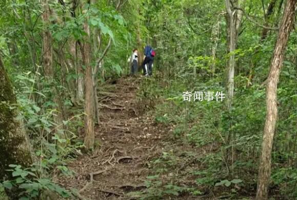 驴友爬山遭雷击:直挺倒下全身麻木