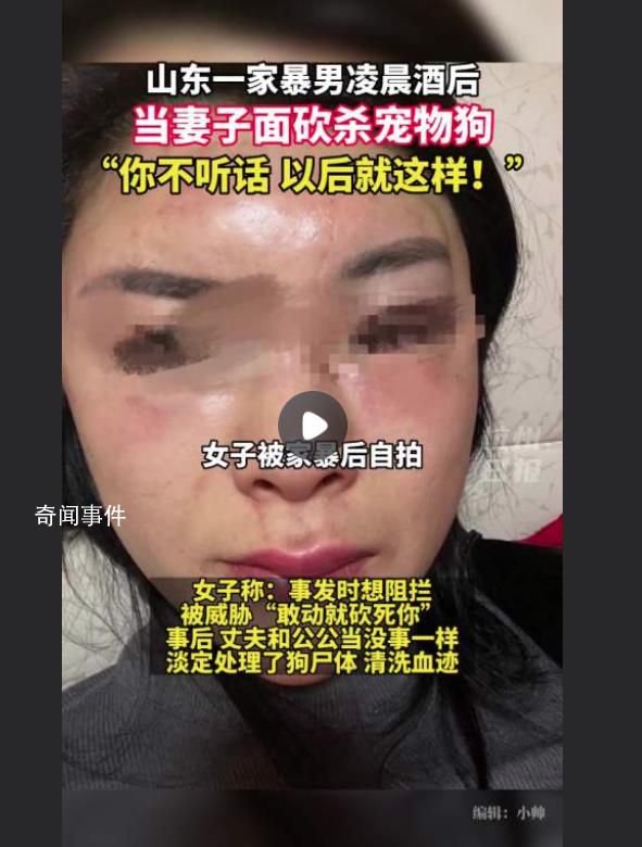 家暴男被指当妻子面砍杀宠物狗 有关单位已经介入调查