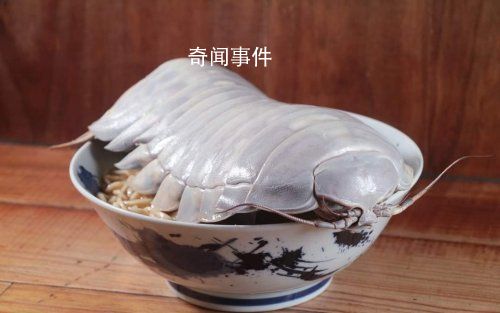 台湾推出大王具足虫拉面 大王具足虫可以吃吗