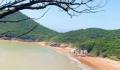 浙江无人岛流拍 首任“岛主”成老赖
