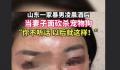 家暴男被指当妻子面砍杀宠物狗 有关单位已经介入调查