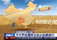 一组数字看中国丰收“速度” 各地抢收进度如何