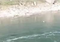 贵州两名教师溺亡 官方成立调查组