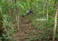 驴友爬山遭雷击:直挺倒下全身麻木