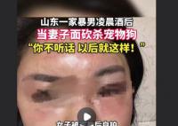 家暴男被指当妻子面砍杀宠物狗 有关单位已经介入调查