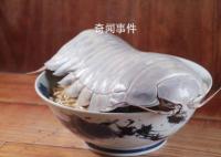 台湾推出大王具足虫拉面 大王具足虫可以吃吗