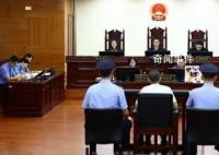 吴谢宇作案时具有完全辨认控制能力 裁定驳回上诉维持原判