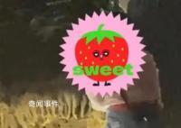 男孩敲断景区钟乳石 家长:孩子喜欢