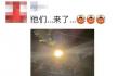 上海白蚁来袭 网友：太吓人了