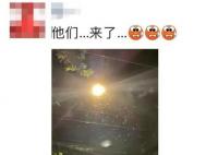 上海白蚁来袭 网友：太吓人了
