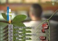 夫妻入职300家公司骗薪月收入超60万 套路实在是太深了