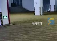 物业腾车库给住户晾晒小麦 网友：这才是物业该有的服务意识