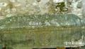 法国千年石棺流水未解之谜 法国千年石棺的来历传说有哪些