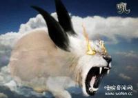 传说中吃龙的上古神兽有哪些 鲲鹏为什么吃龙