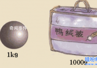 什么是形重错觉 形重错觉的例子有哪些