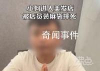 小狗进入美发店被店员装麻袋摔死 涉事店铺创始人发视频表示对狗主人进行道歉