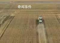 三夏大规模小麦机收全面展开 四川湖北麦收进入尾声