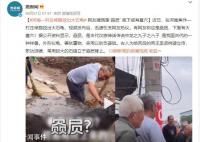 河南一村庄修路挖出大石龟 底下或有墓穴