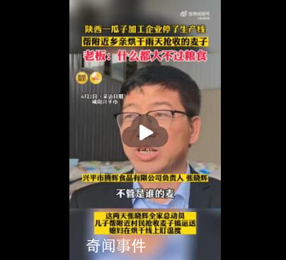 瓜子厂老板停生产线帮忙烘干麦子 已经成功帮乡亲们烘干抢收麦子10万多斤