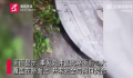 2岁男童坠井身亡 井盖井口大小不符