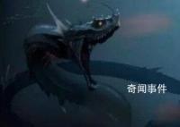 海上蛇怪未解之谜 海上蛇怪的目击事件有哪些