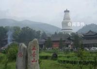 大叔说神舟落在我家牧场很激动 让我们来听听他的故事