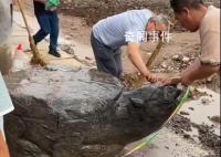 村庄修路挖出大石龟?官方通报