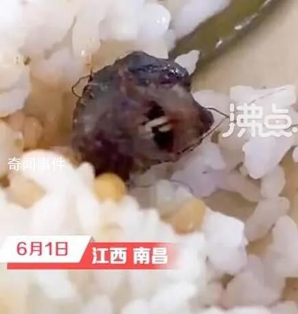 涉事学校曾因老鼠事件被联合执法 后对供应商重新招标