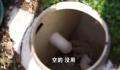 湖南一村厕改后村民还要挑水冲厕所 网友：必须严查