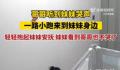 哥哥听到妹妹哭声一路小跑来安抚