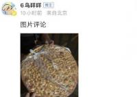 吴磊把新疆带回来的馕送给粉丝 粉丝：有被这个可爱单纯大男孩暖到